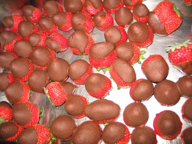 2006Zeilkamp22.jpg