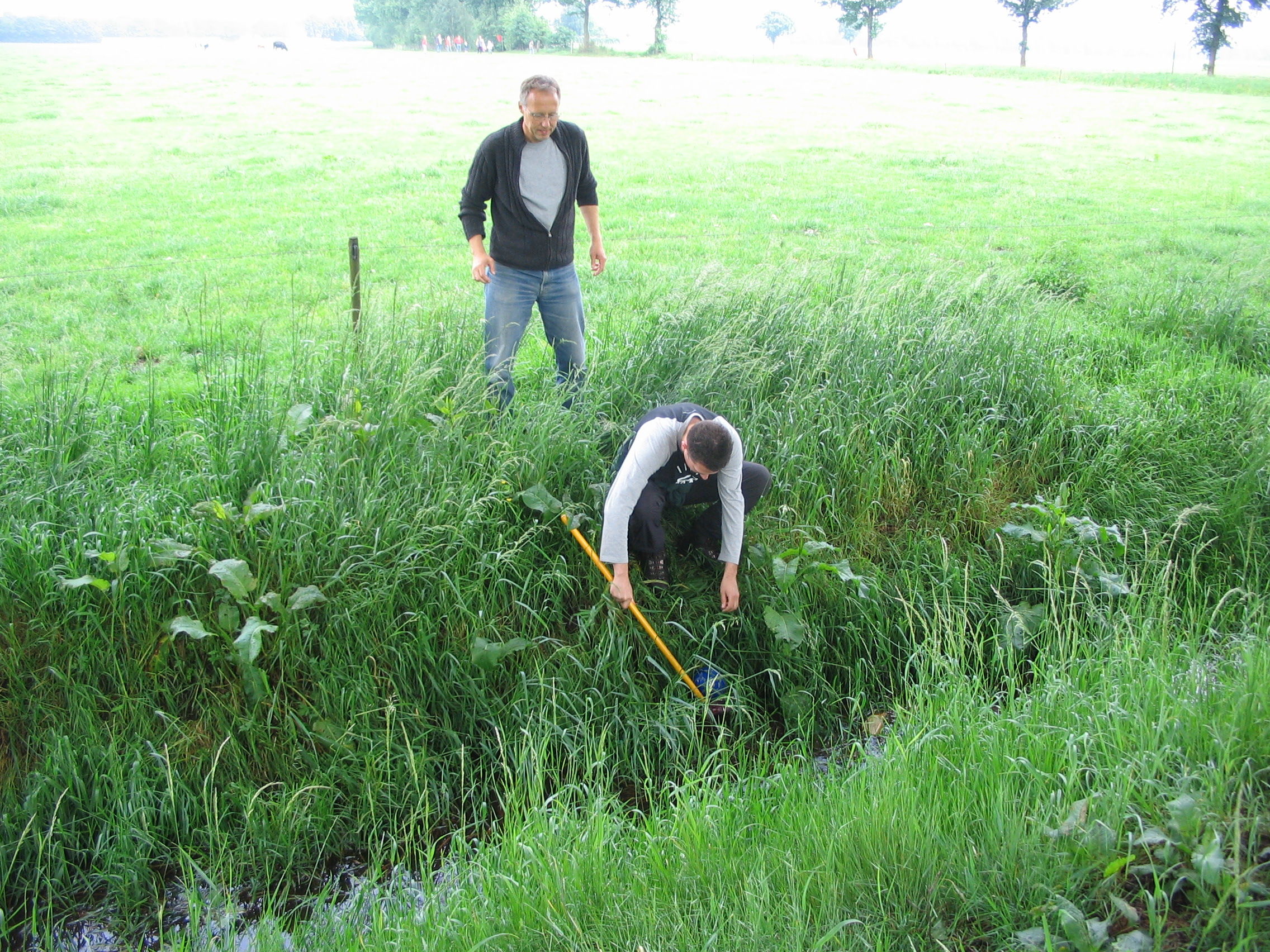 2007HWK21.jpg