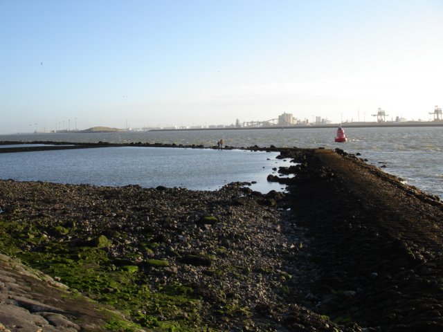 Strandwandeling004.jpg