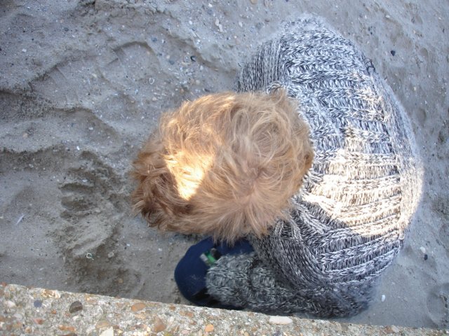 Strandwandeling009.jpg