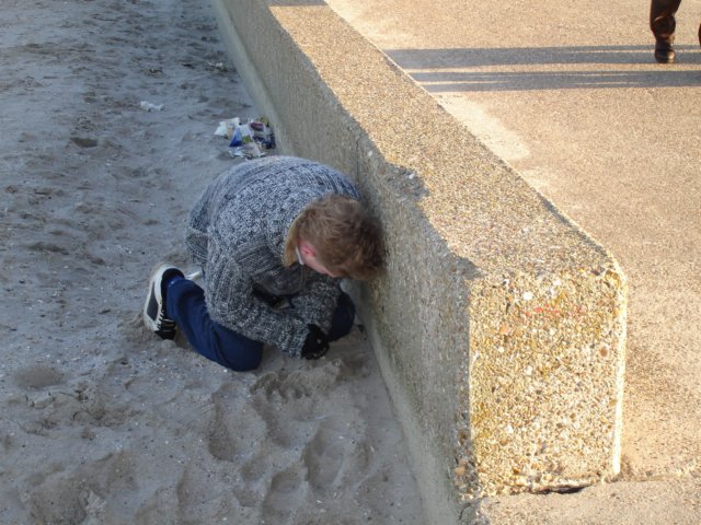 Strandwandeling010.jpg