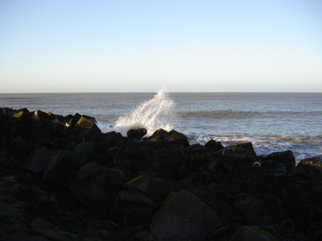 Strandwandeling019.jpg