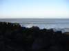 Strandwandeling017_small.jpg