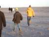 Strandwandeling048_small.jpg