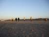 Strandwandeling052_small.jpg