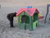 Strandwandeling068_small.jpg