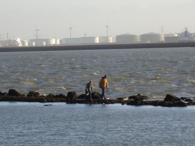 Strandwandeling4.jpg