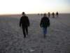 Strandwandeling60_small.jpg