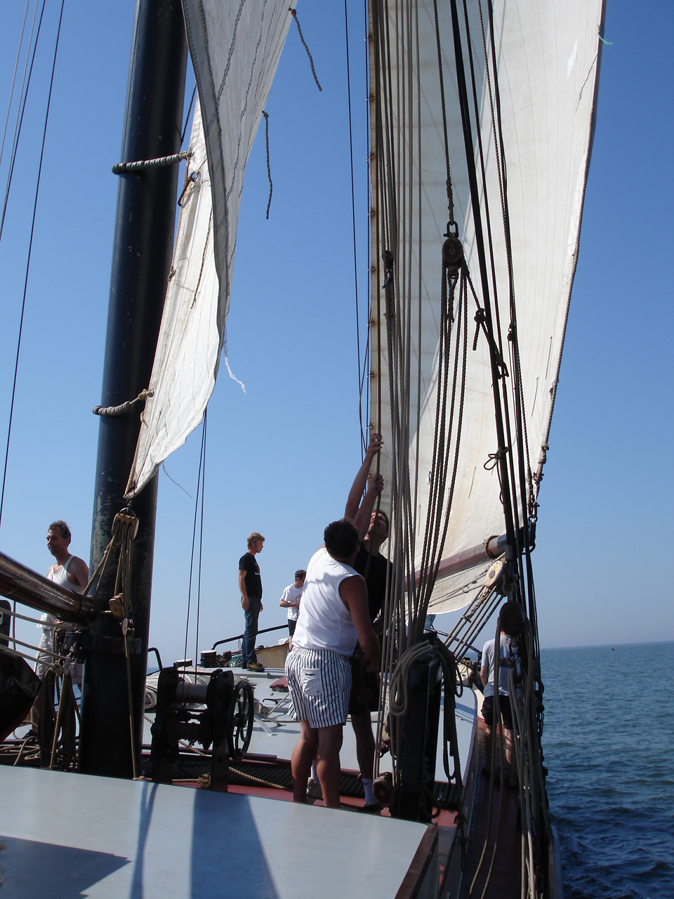 2007Zeilen163.jpg