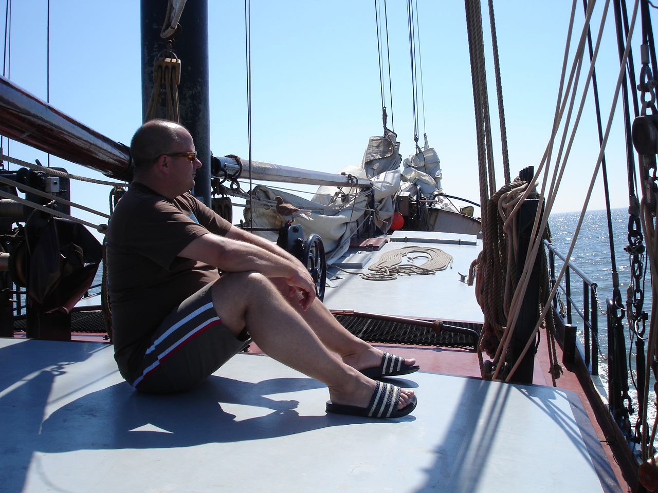 2007Zeilen177.jpg