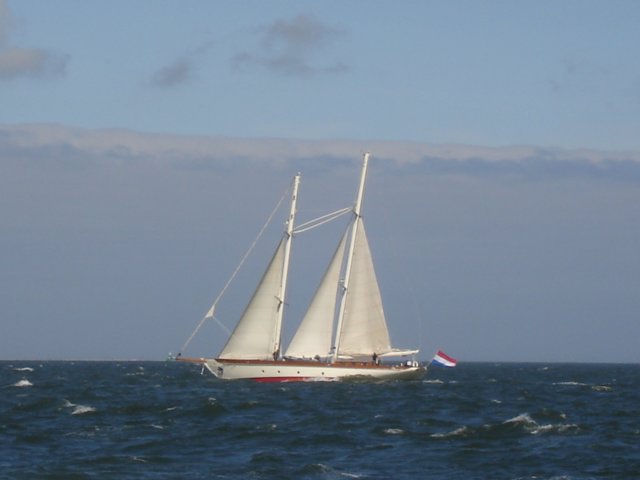 2007Zeilen104.jpg