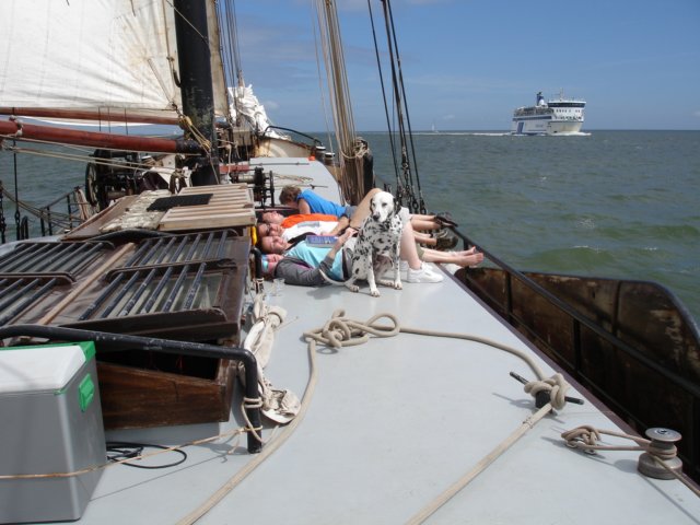 2007Zeilen114.jpg