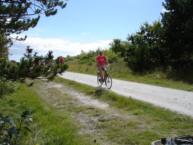 2007Zeilen135.jpg