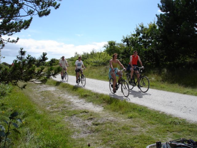 2007Zeilen136.jpg