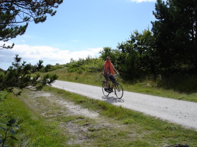 2007Zeilen137.jpg