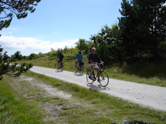 2007Zeilen138.jpg