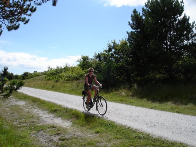 2007Zeilen139.jpg