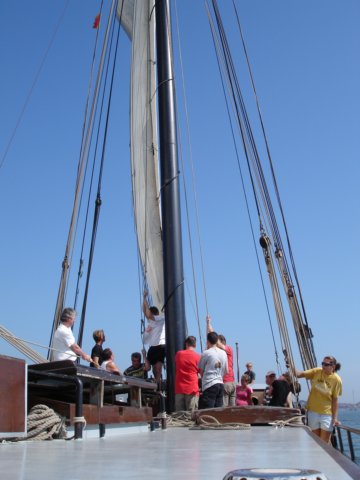 2007Zeilen158.jpg