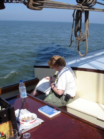 2007Zeilen169.jpg