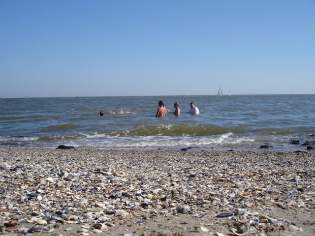 2007Zeilen191.jpg