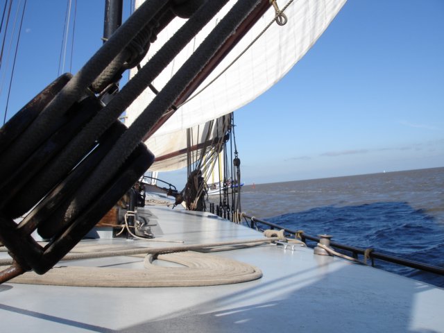2007Zeilen89.jpg