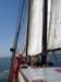 2007Zeilen168_small.jpg