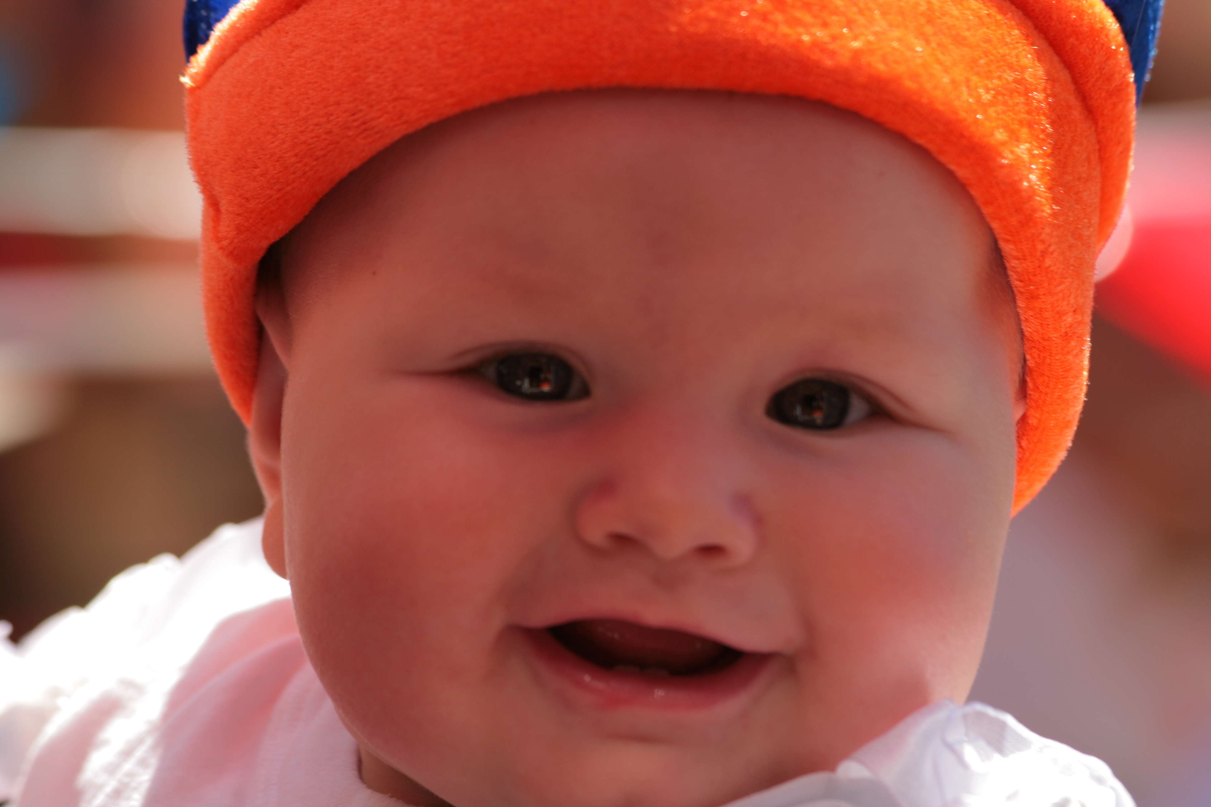 2007Koninginnedag124.jpg