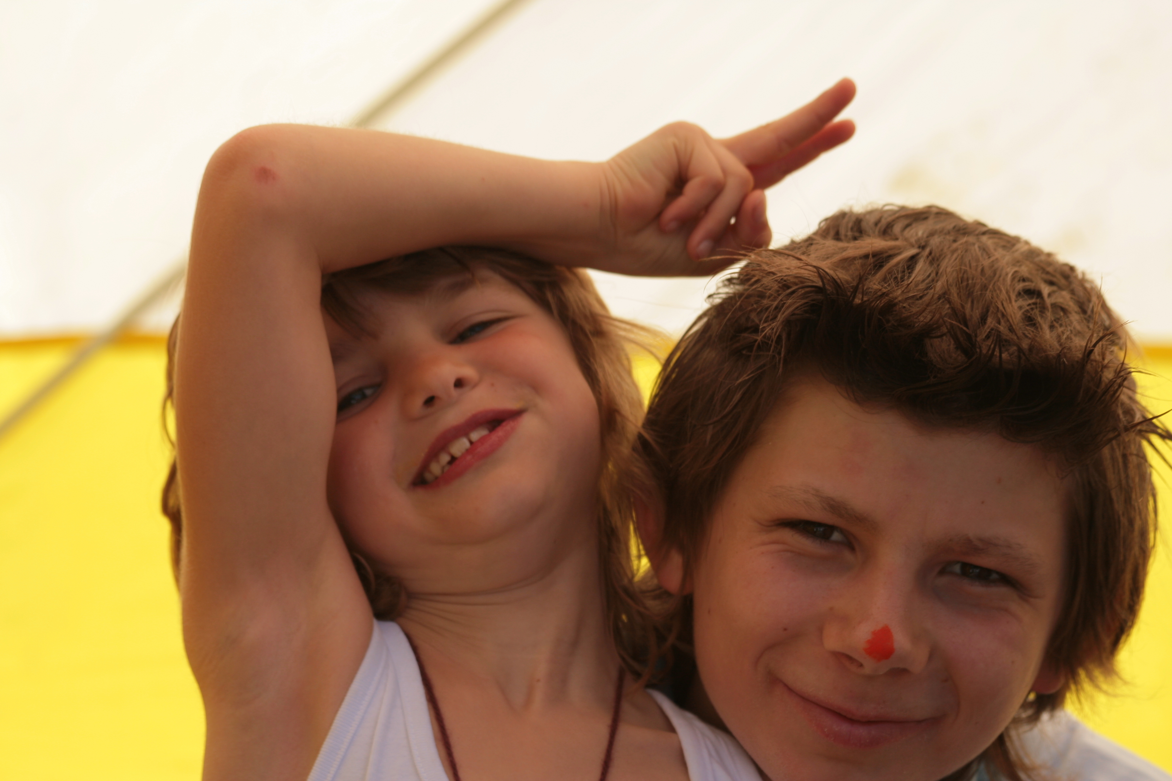 2007Koninginnedag128.jpg