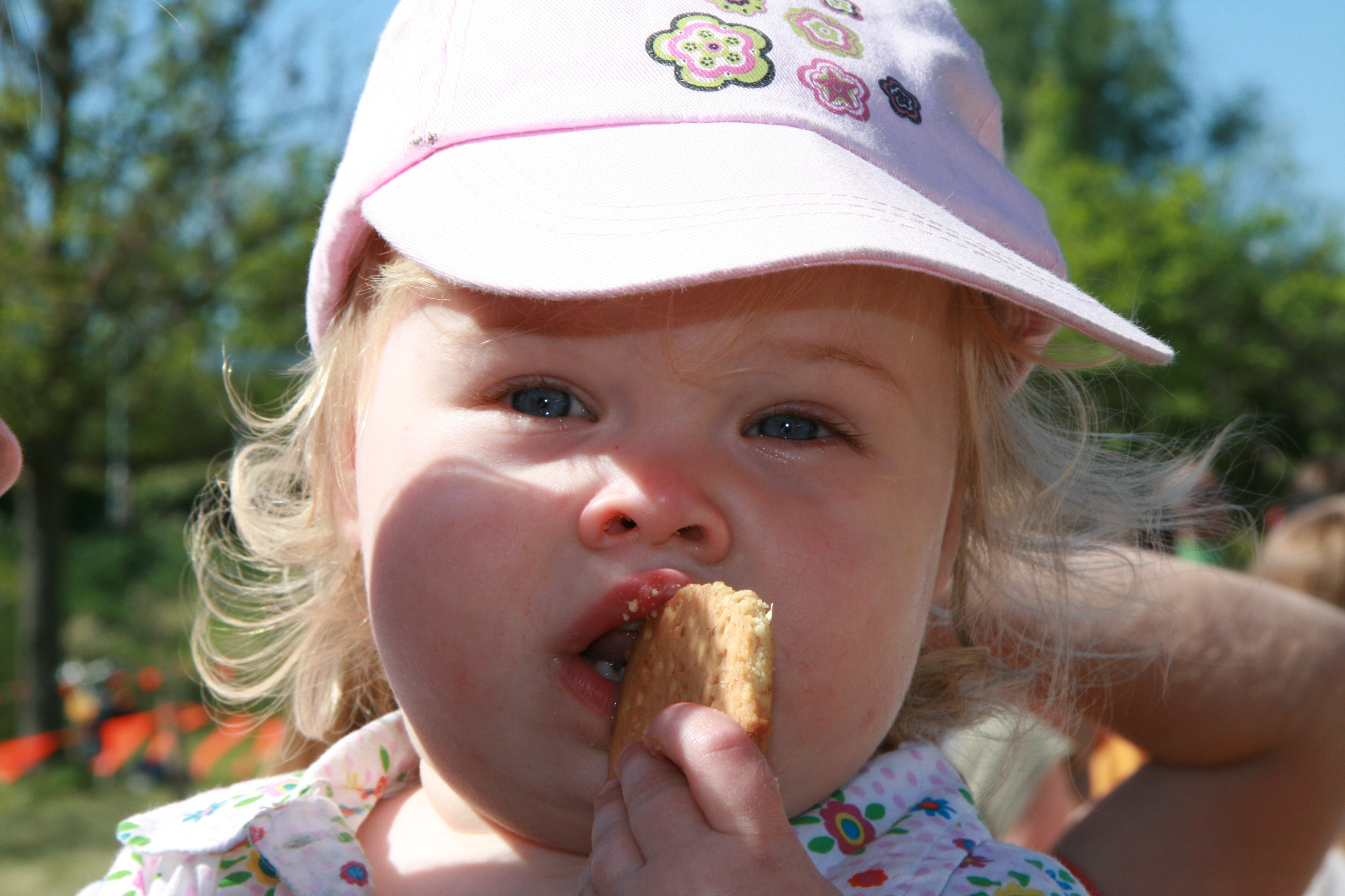 2007Koninginnedag155.jpg