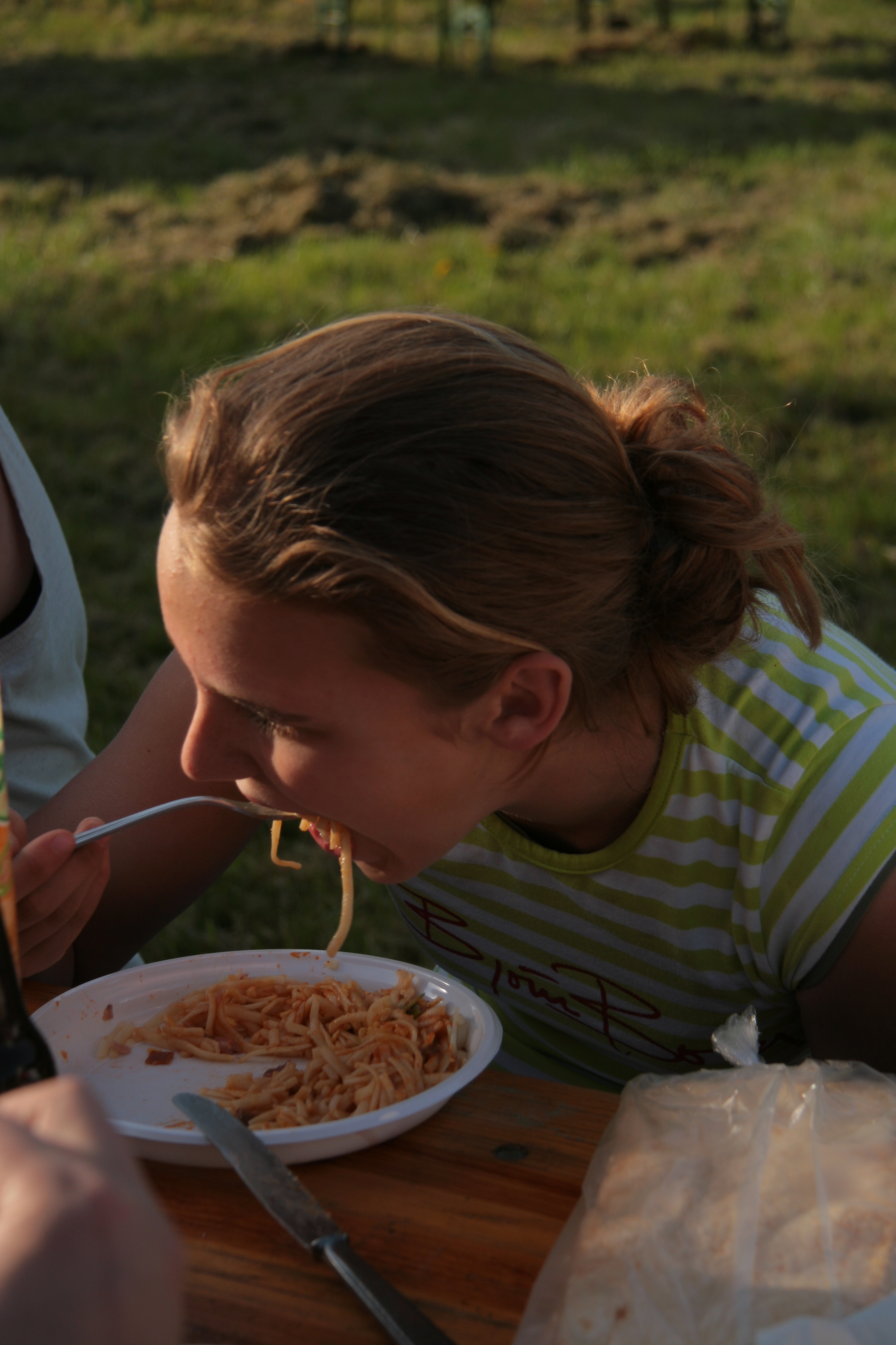 2007Koninginnedag54.jpg