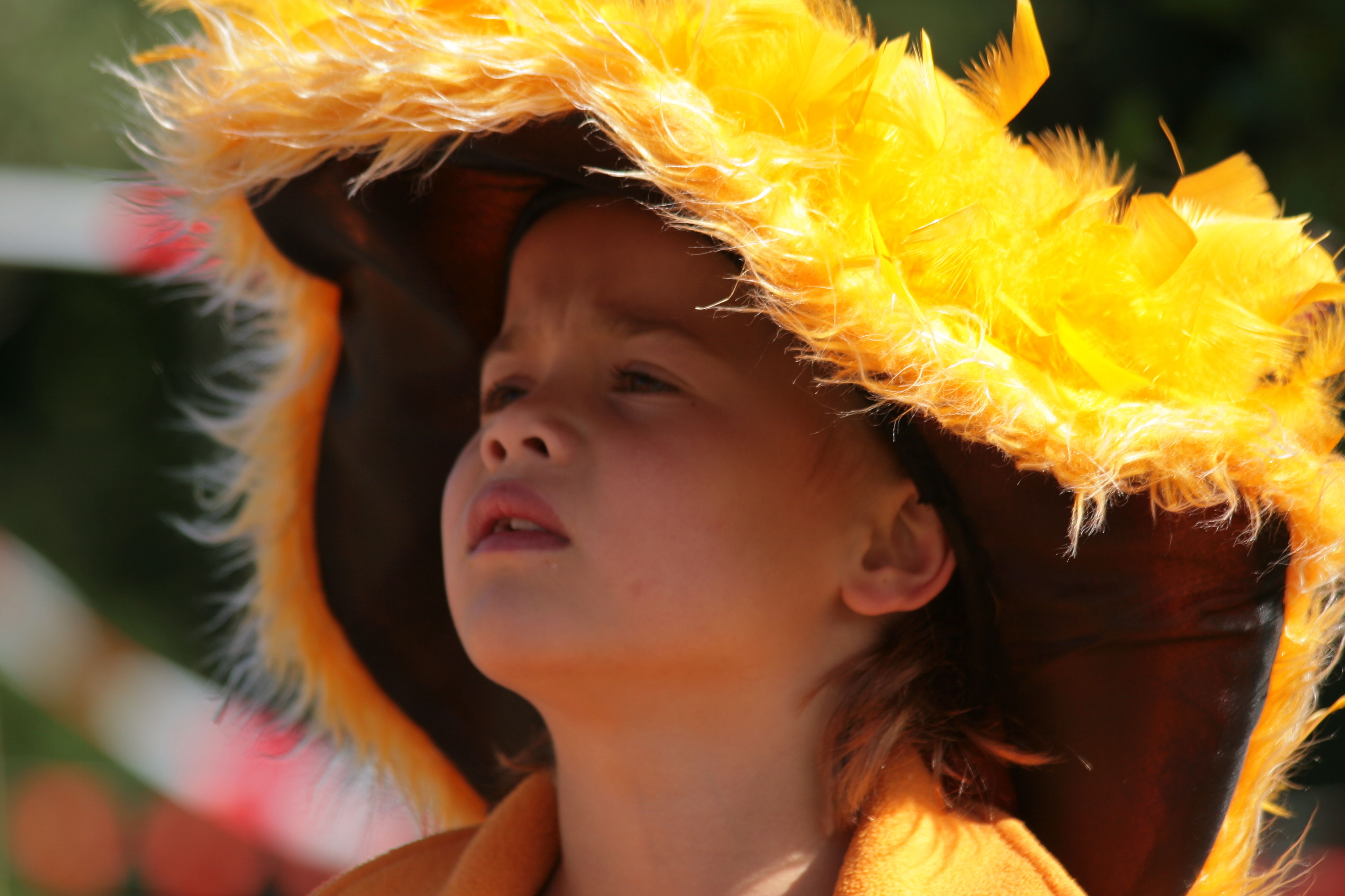 2007Koninginnedag79.jpg