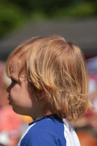 2007Koninginnedag156.jpg