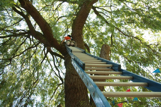 2007Koninginnedag30.jpg
