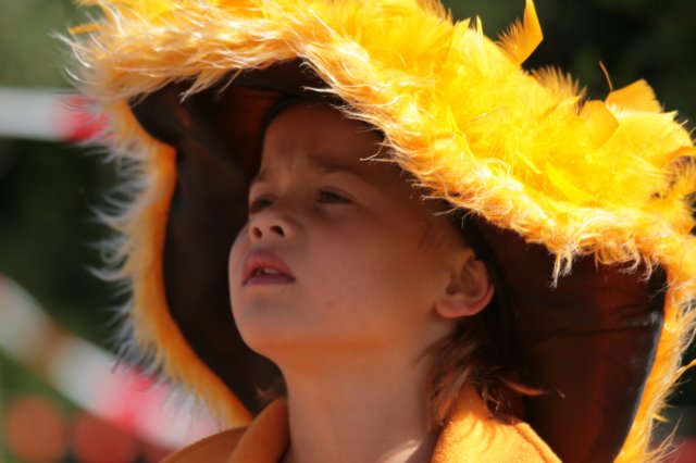 2007Koninginnedag79.jpg