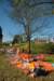 2007Koninginnedag63_small.jpg