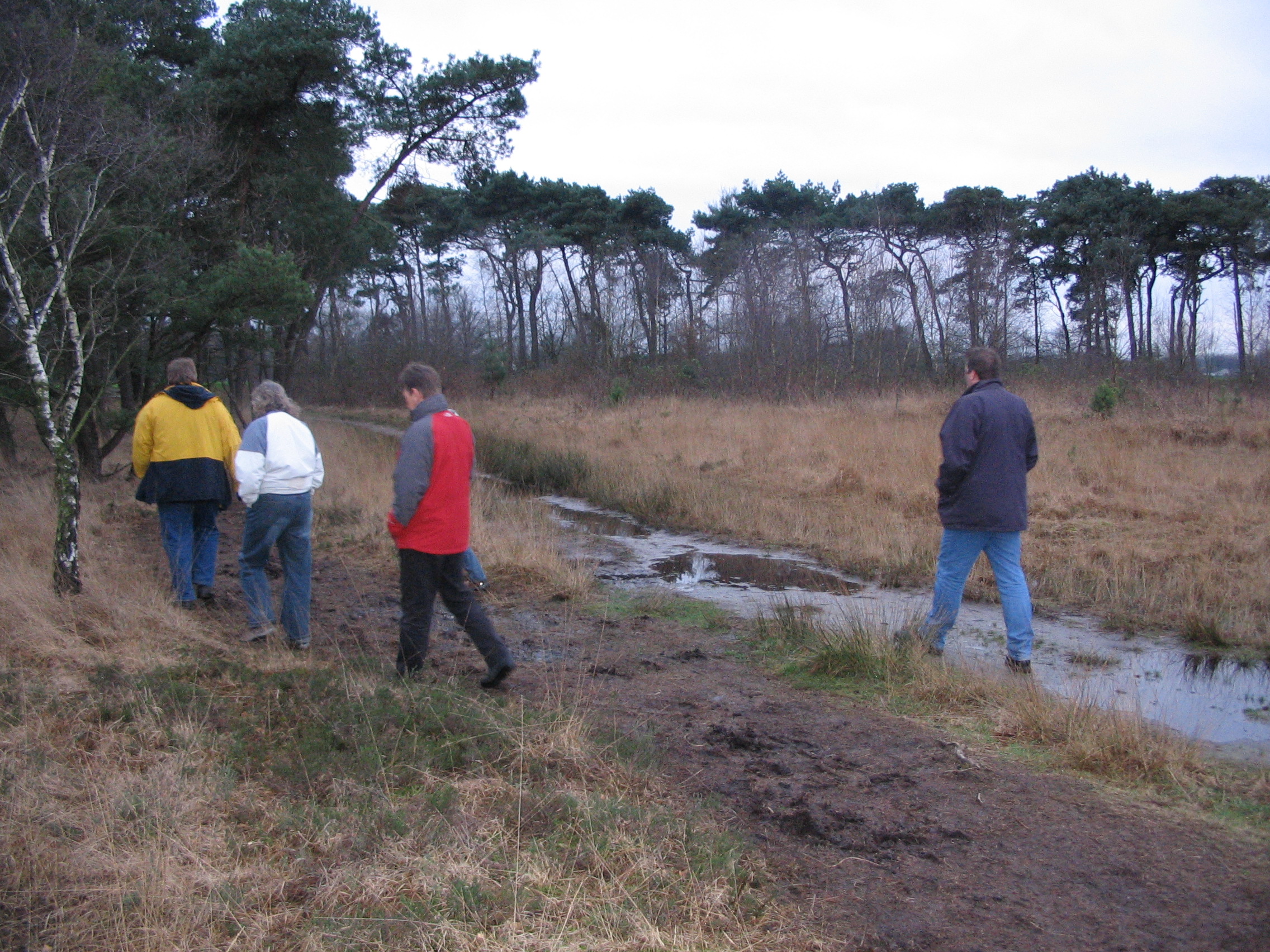 NWK200732.jpg