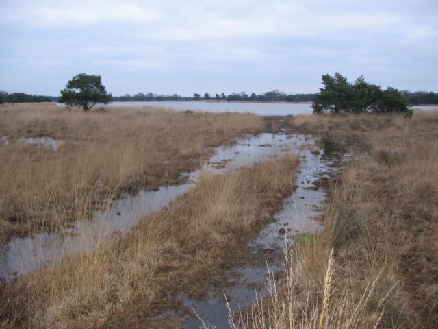 NWK200731.jpg