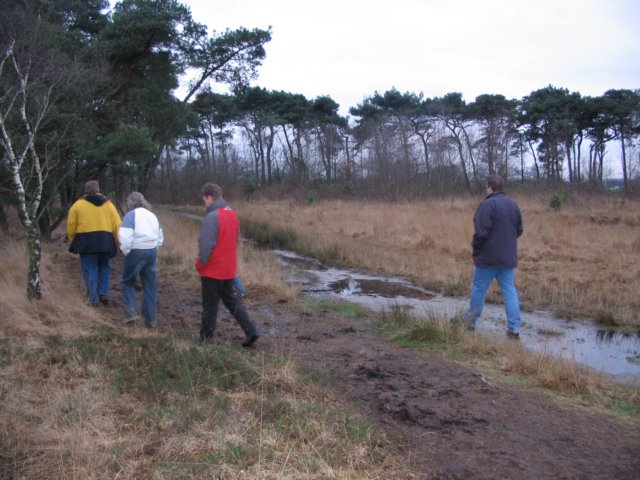 NWK200732.jpg