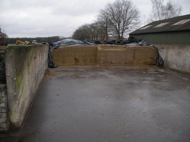 NWK200761.jpg