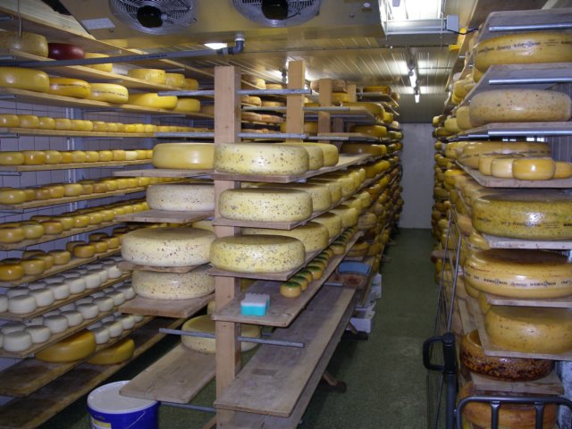 NWK200765.jpg