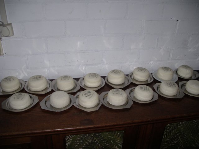 NWK200768.jpg