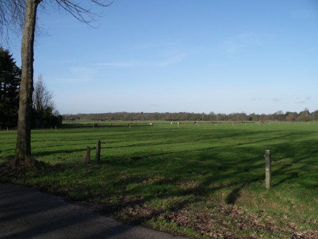 NWK200771.jpg