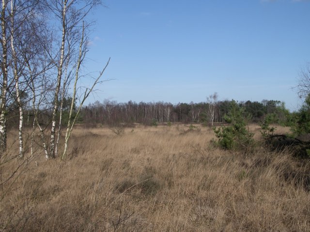 NWK200772.jpg