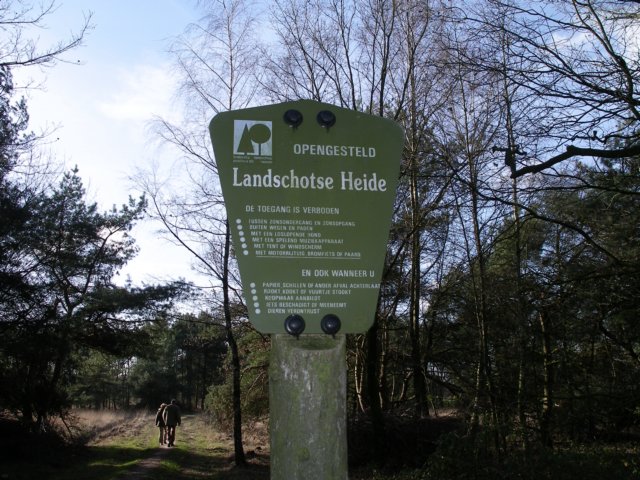 NWK200773.jpg