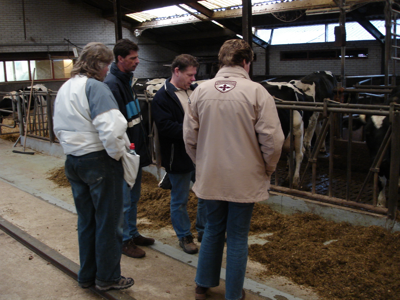 NWK200768.jpg