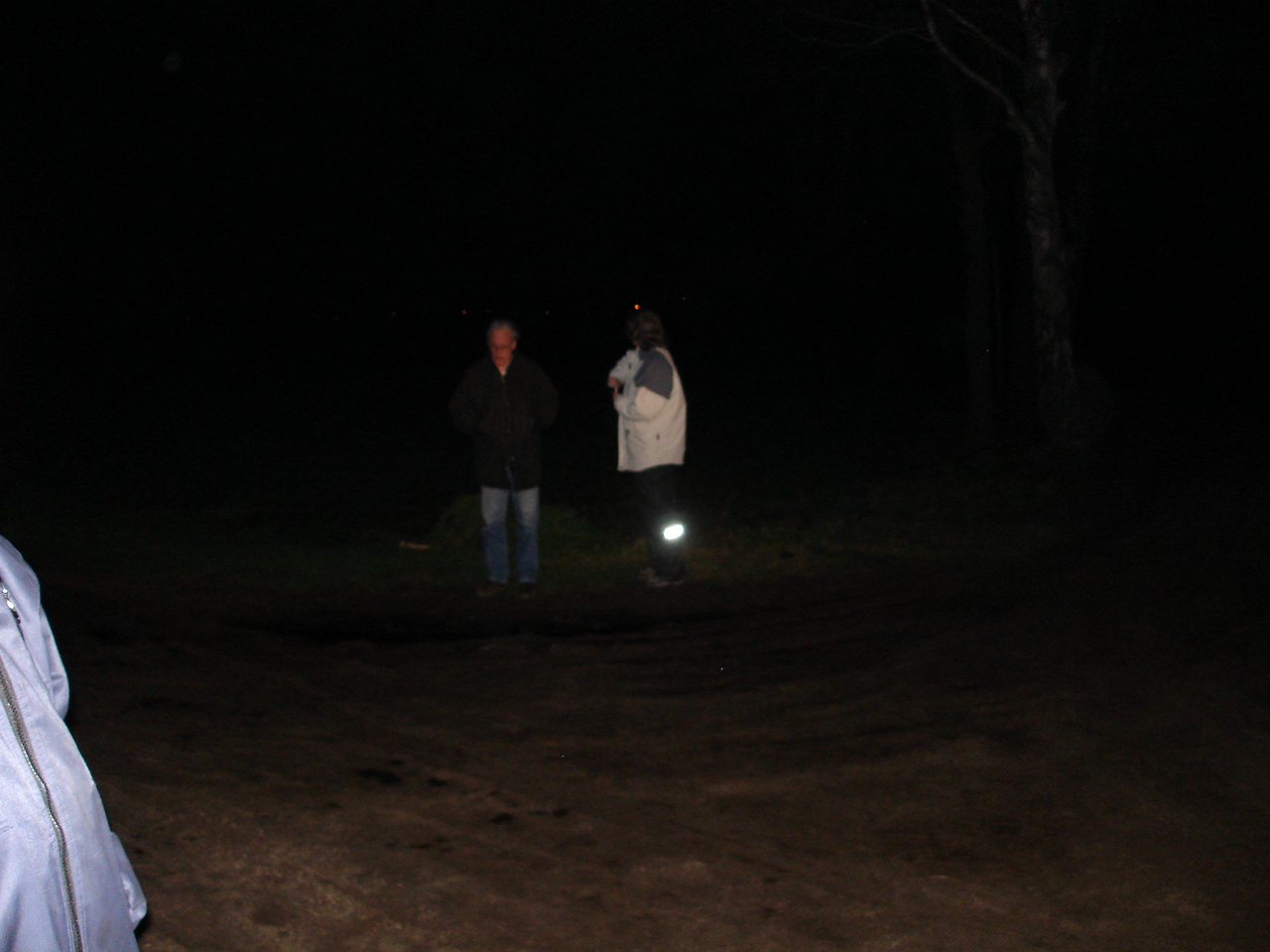 NWK200796.jpg