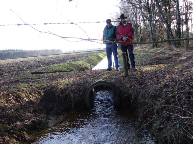 NWK2007129.jpg