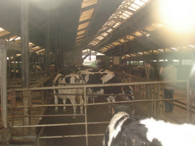 NWK200761.jpg