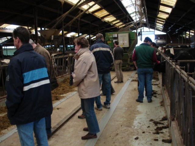 NWK200764.jpg