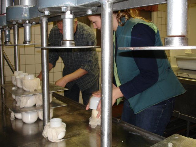 NWK200767.jpg
